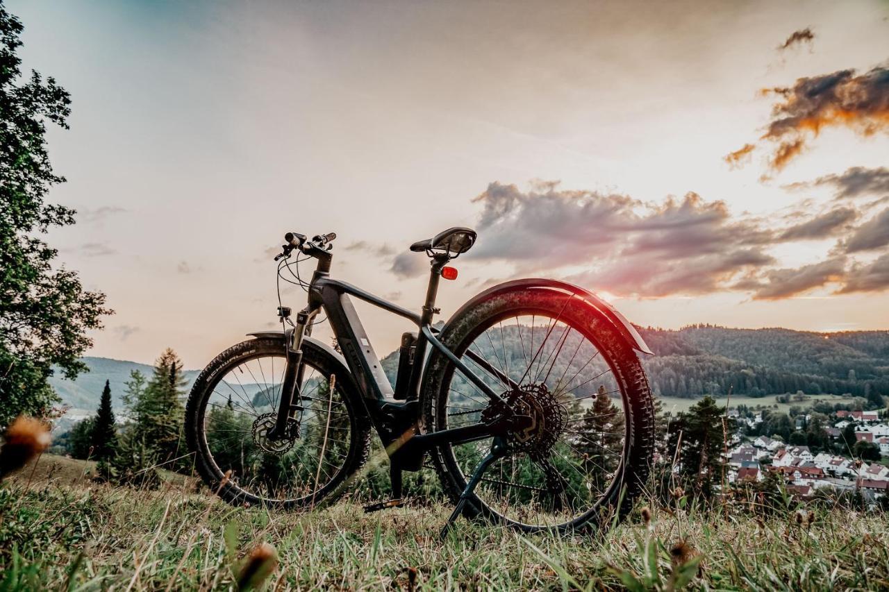 Apartmán Demoiselle Des Roches Ramonchamp Exteriér fotografie