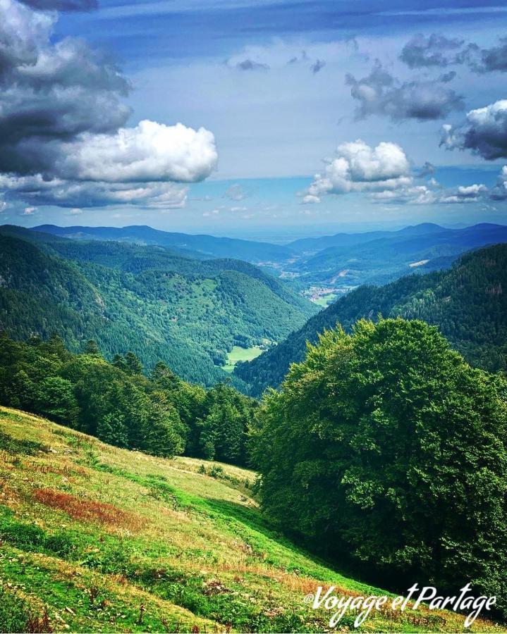 Apartmán Demoiselle Des Roches Ramonchamp Exteriér fotografie