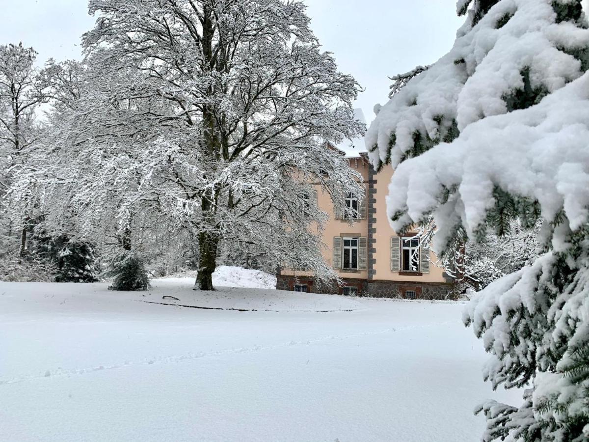 Apartmán Demoiselle Des Roches Ramonchamp Exteriér fotografie