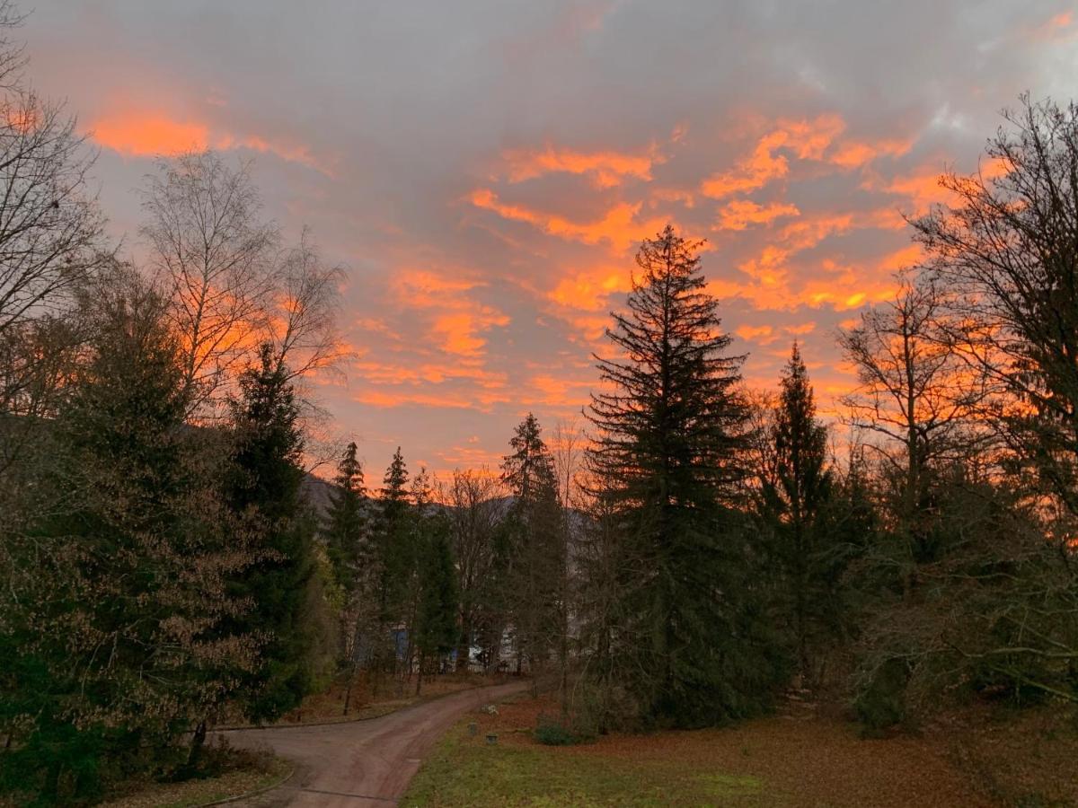 Apartmán Demoiselle Des Roches Ramonchamp Exteriér fotografie