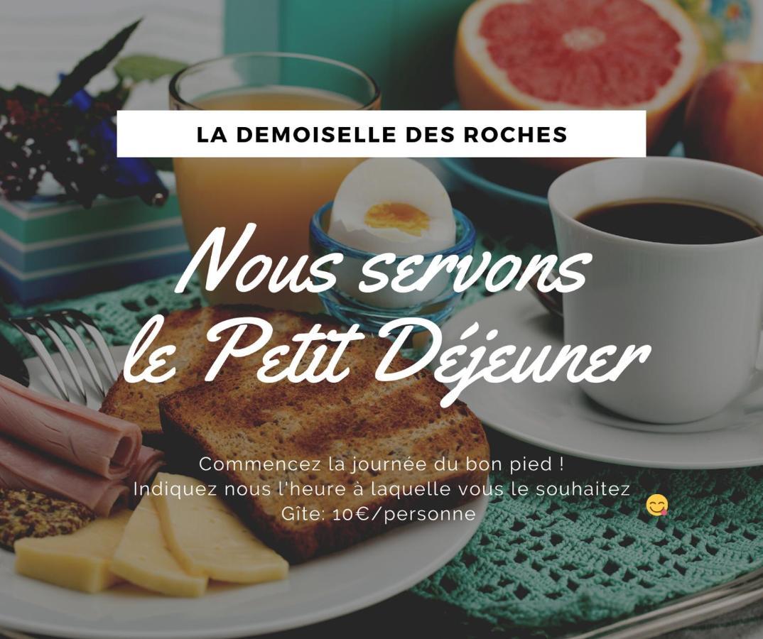 Apartmán Demoiselle Des Roches Ramonchamp Exteriér fotografie