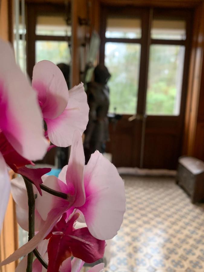 Apartmán Demoiselle Des Roches Ramonchamp Exteriér fotografie