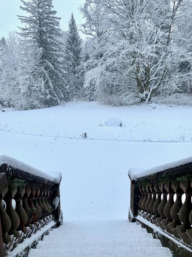 Apartmán Demoiselle Des Roches Ramonchamp Exteriér fotografie