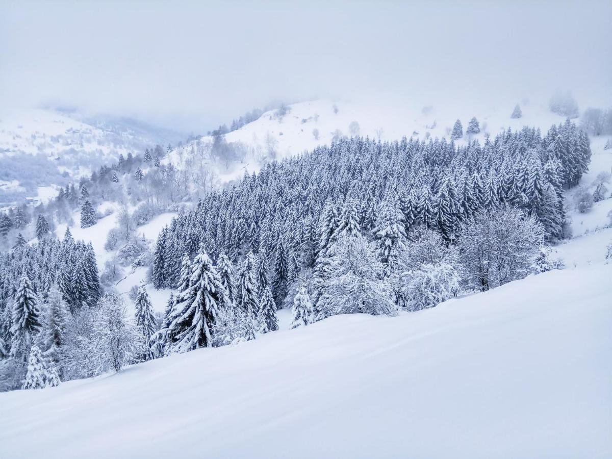 Apartmán Demoiselle Des Roches Ramonchamp Exteriér fotografie