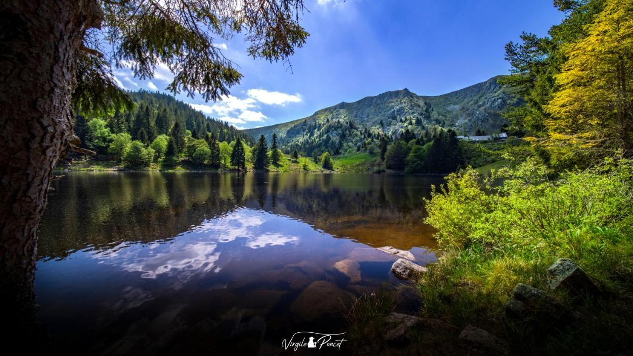 Apartmán Demoiselle Des Roches Ramonchamp Exteriér fotografie