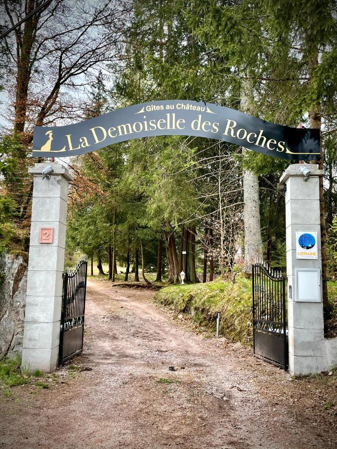 Apartmán Demoiselle Des Roches Ramonchamp Exteriér fotografie